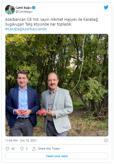 Türkiyə səfiri Suqovuşanda nar topladı - FOTO