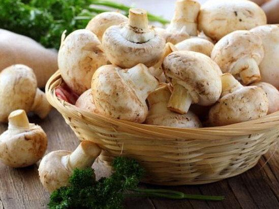 Göbələk zəhərlənmələri ilə bağlı əhaliyə müraciət