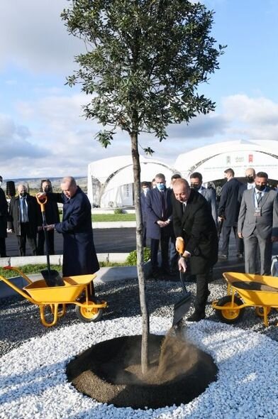 İlham Əliyev və Ərdoğan Şərqi Zəngəzurda ağac əkiblər - FOTO