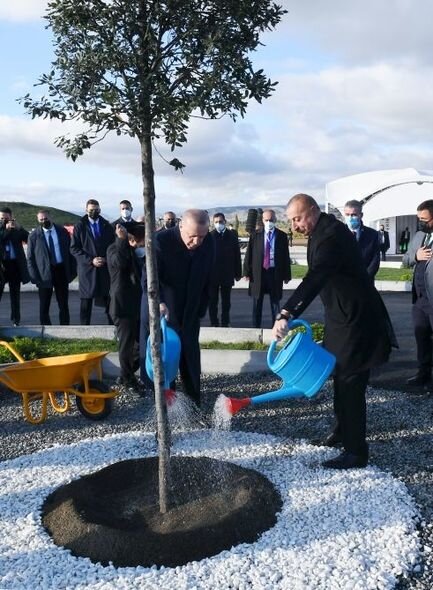 İlham Əliyev və Ərdoğan Şərqi Zəngəzurda ağac əkiblər - FOTO