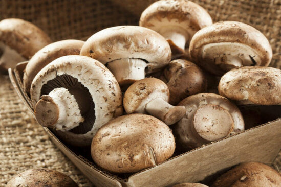 Azərbaycanda daha bir göbələk FACİƏSİ: 2 ailə ZƏHƏRLƏNDİ