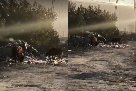 Nübar qəsəbəsində şəhidin lövhəsi olan küçənin problemləri niyə həll edilmir? - VİDEO