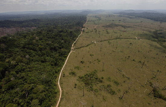 Amazon meşələri ilə bağlı qorxulu antirekord - FOTO