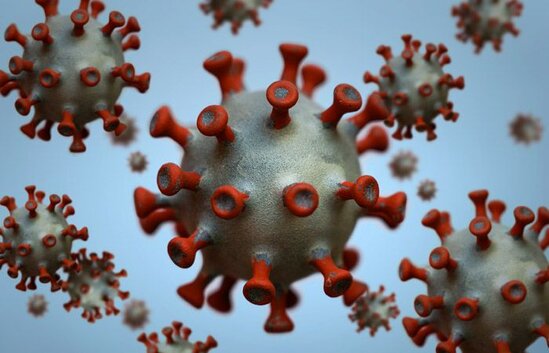 Növbəti koronavirus bu heyvandan yayılacaq- Alimlər
