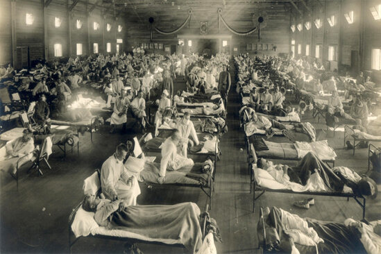 Yeni qrip pandemiyası XƏBƏRDARLIĞİ: 33 milyon insan öləcək