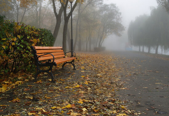 Parkdan oturacaq oğurladılar