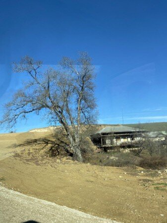 Əziz Səncər Şuşada - FOTO