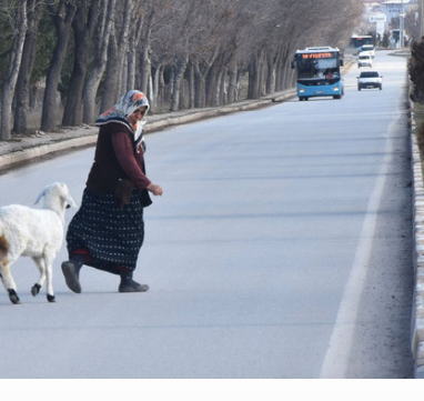 Uşağı olmayan ailə görün nə etdi - FOTO