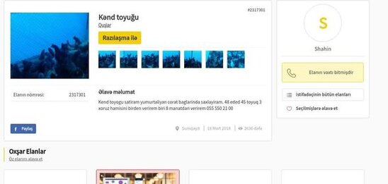 Azərbaycanda yeni dələduz qardaşlar peyda olub - FOTO