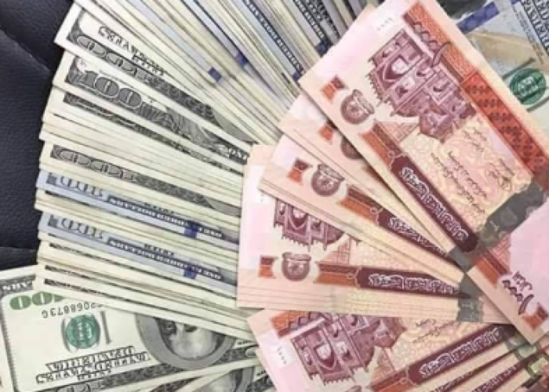 "Taliban" dollarla alqı-satqını qadağan etdi