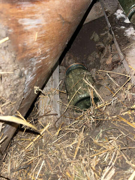 Narkotiki it damında gizlədən şəxs saxlanılıb - FOTO