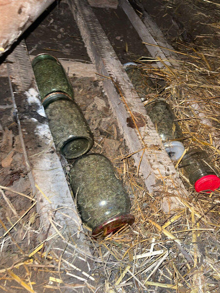 Narkotiki it damında gizlədən şəxs saxlanılıb - FOTO