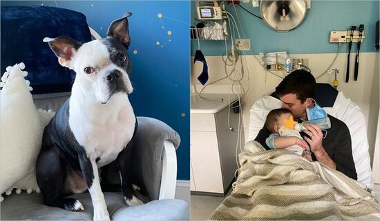 Qəribə davranmağa başlayan it uşağın həyatını xilas etdi - FOTO