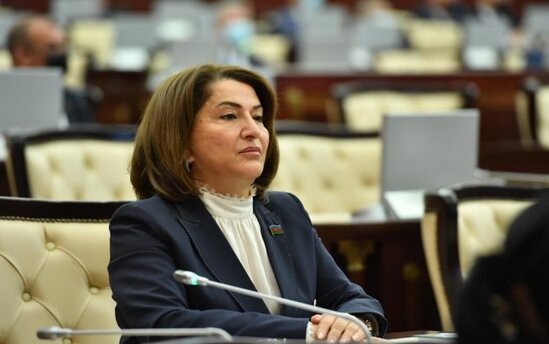 "Vətəndaşların sosial rifahının yüksəldilməsi Prezidentimizin həyat amalıdır" - Deputat