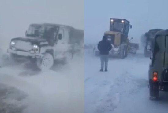 Laçında güclü çovğun - VİDEO