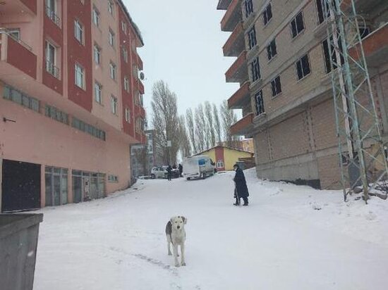 Temperatur -30 dərəcəyə düşdü