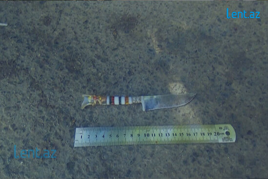 Vidadi Bərdəlinin oğlunun CİNAYƏT İŞİ: "Nərminlə olanda..." - VİDEO