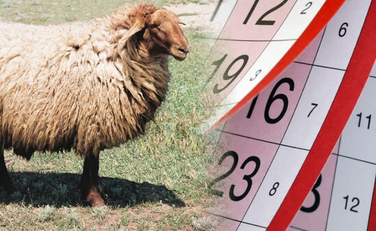 Gələn il üçün Qurban bayramının tarixi açıqlandı