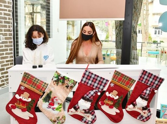 Mehriban Əliyeva Autizm Mərkəzində yaradılan şəraitlə tanış olub - FOTO