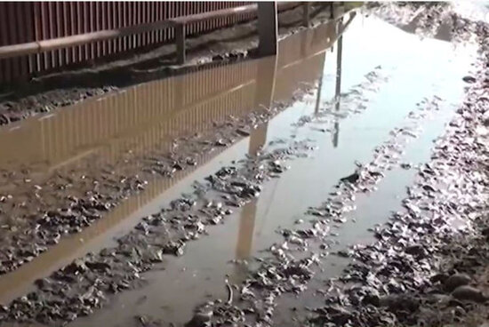 Altı kəndi birləşdirən palçıqlı yol - VİDEO