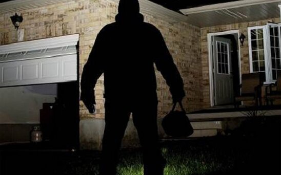 Masallı sakininin ötən il etdiyi silsilə oğurluqların üstü açıldı - FOTO