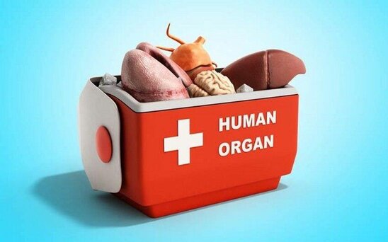 Orqan transplantasiyası ilə bağlı etika komissiyası yaradıldı
