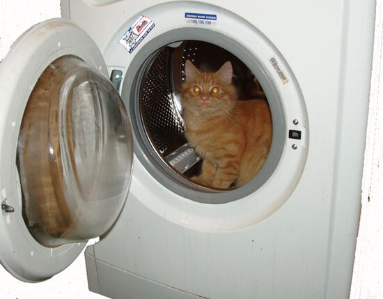 Yarım saat paltaryuyanda "yuyulduqdan" sonra sağ qaldı - VİDEO