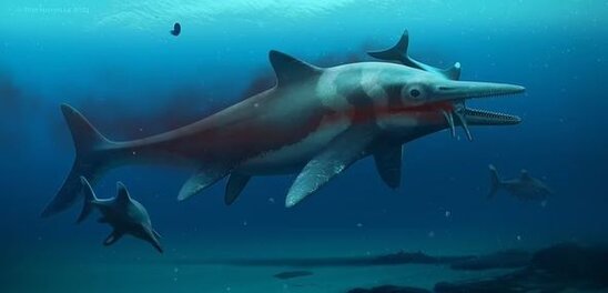 İndiyə qədər aşkarlanan ən böyük "Dəniz əjdahası" tapıldı - FOTO - VİDEO