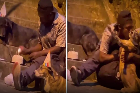 Evsiz adam ad gününü İTLƏRLƏ keçirdi -VİDEO