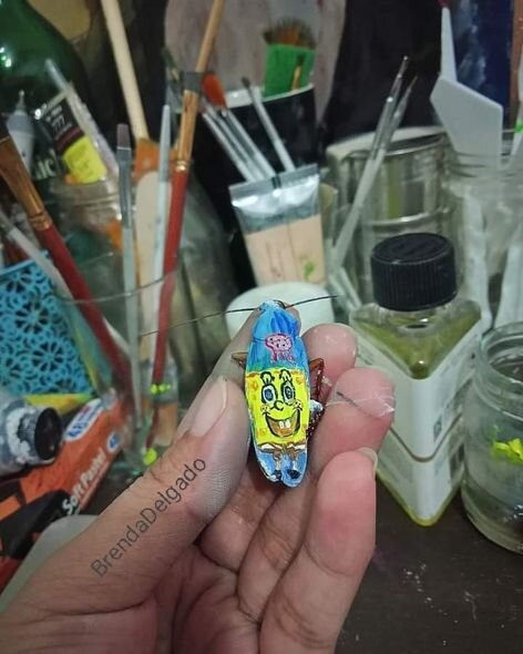 Ölü tarakanlar üzərində möhtəşəm rəsmləri yaratdı - FOTO