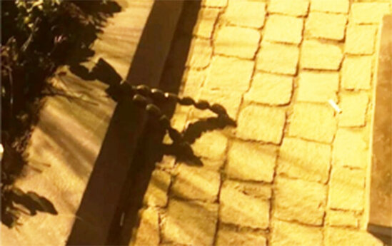 Heykələ zərər vuranların kimliyi açıqlandı - RƏSMİ