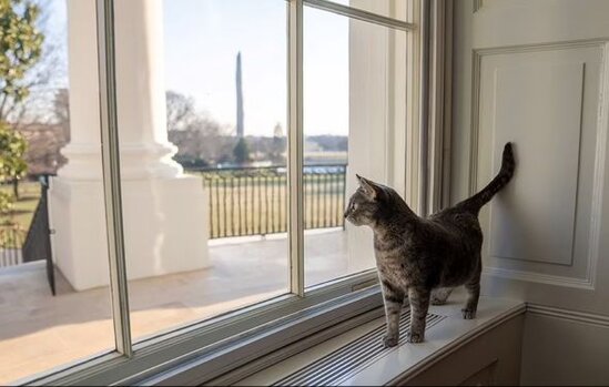 Baydenin nitqini kəsməsi taleyini həll etdi: Ağ Evin yeni sakini oldu - FOTO