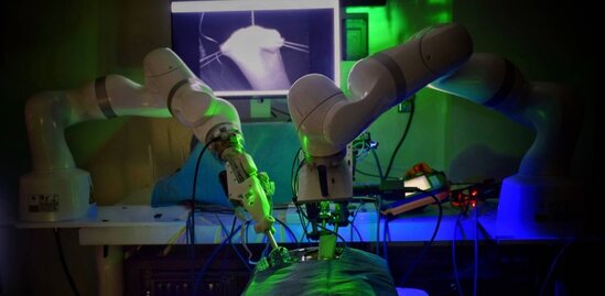 Əjdaha kimi görünmək üçün minlərlə dollar xərclədi - FOTO