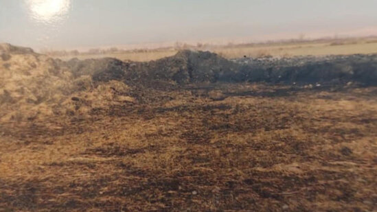 Kirvəlikdən imtina etdiyinə görə "cəzalandırdı" - 190 minlik ot bağmalarını yandırdı - FOTO