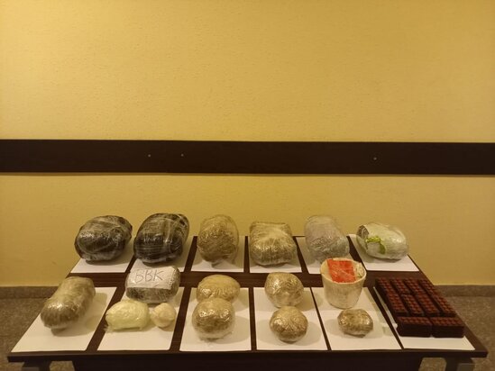 Azərbaycan sərhədini pozmaq istəyən 2 nəfər saxlanıldı - FOTO