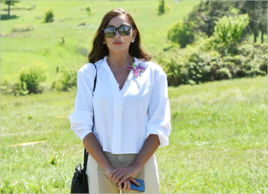 "Mehriban xanımın belə bir ali vəzifəyə təyin olunması zamanın və xalqın tələbi idi"- Emil Əkbərov