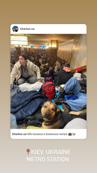 "Miss Ukrayna": "Ailəm təhlükədədir" - FOTO