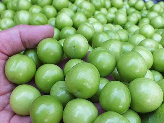 Paytaxt bazarlarında kiloqramı 500 AZN-ə satılan meyvə - VİDEO