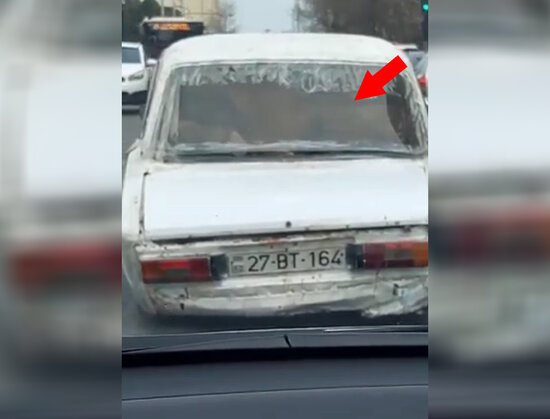 Azərbaycanda görünməmiş olay - İnəkləri bu üsulla apardılar - VİDEO