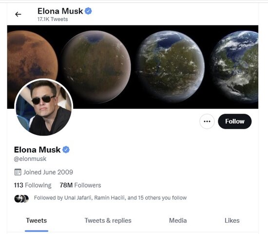 İlon Mask Kadırovla yazışmasından sonra tviterdə adını dəyişdi - FOTO