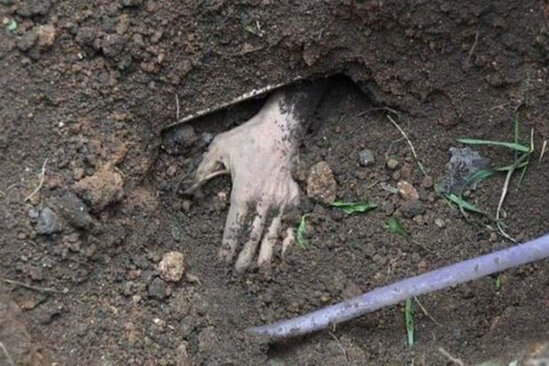 Qardaşı tərəfindən öldürülən qadının meyitinin ekspertiza nəticəsi bəlli oldu