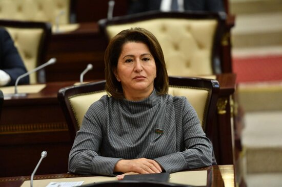 "Fərrux kəndinin Azərbaycanın nəzarəti altına keçməsi növbəti tarixi qələbədir"