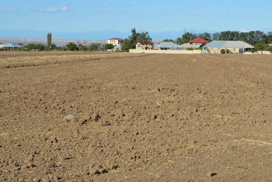 Torpağını sənədləşdirmək istəyənlərin NƏZƏRİNƏ - Bütün rüsumları dövlət ödəyəcək - VİDEO