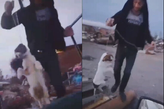 Azərbaycanda gənc oğlan itə işgəncə verdi - YENİLƏNİB + VİDEO