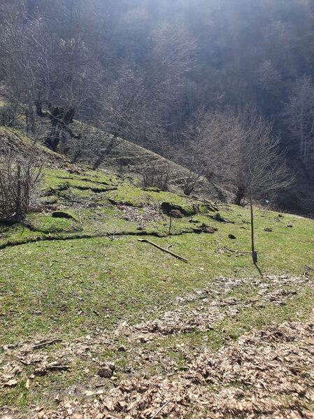 Azərbaycanda torpaq sürüşməsi olub - FOTO