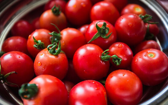 Rusiya Azərbaycandan 432 tondan çox pomidorun idxalına qadağa qoyub