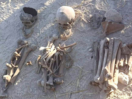Fərruxda tapılmış meyit qalıqlarının azərbaycanlılara aid olduğu sübut edilib - RƏSMİ
