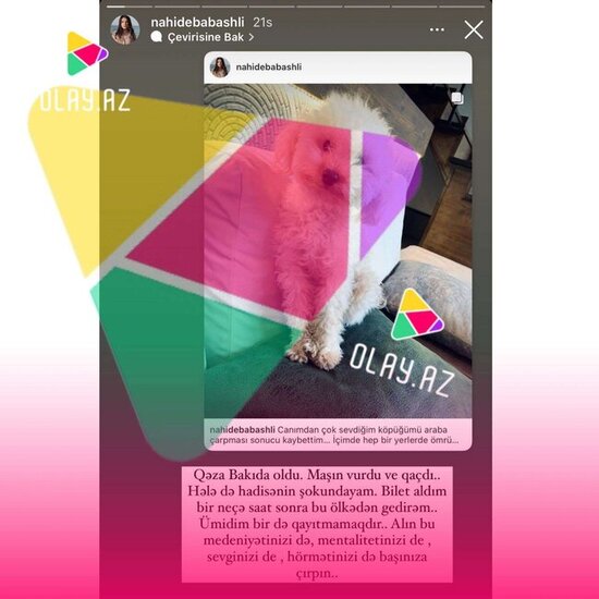 "Azərbaycandan gedirəm, mentalitetinizi başınıza çırpın!" - Nahidə Babaşlı