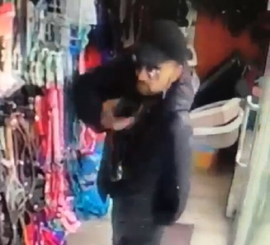 Bakıda zoo mağazadan it boyunbağısını belə oğurladı - ANBAAN VİDEO