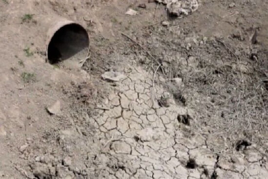Kəndli su tapmır: Əkinlər qurumaq üzrədir - VİDEO